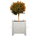 кашпо з дерева для рослин Версаль Д55*Ш55*В60 фото 1